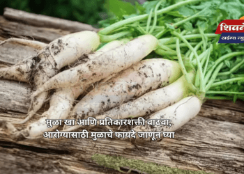 मुळा खा आणि प्रतिकारशक्ती वाढवा; आरोग्यासाठी मुळाचे फायदे जाणून घ्या