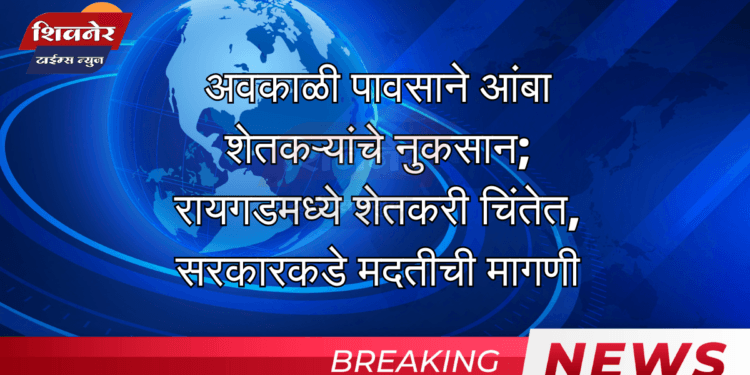अवकाळी पावसाने आंबा शेतकऱ्यांचे नुकसान 1 अवकाळी पावसाने आंबा शेतकऱ्यांचे नुकसान; रायगडमध्ये शेतकरी चिंतेत, सरकारकडे मदतीची मागणी