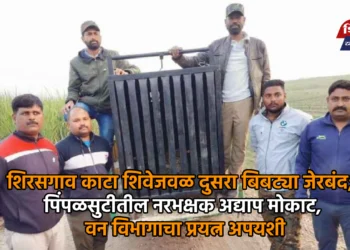 शिरसगाव काटा शिवेजवळ दुसरा बिबट्या जेरबंद; पिंपळसुटीतील नरभक्षक अद्याप मोकाट, वन विभागाचा प्रयत्न अपयशी