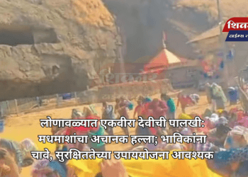 लोणावळ्यात एकवीरा देवीची पालखी: मधमाशांचा अचानक हल्ला; भाविकांना चावे, सुरक्षिततेच्या उपाययोजना आवश्यक