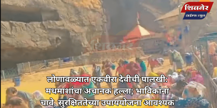 लोणावळ्यात एकवीरा देवीची पालखी: मधमाशांचा अचानक हल्ला 1 लोणावळ्यात एकवीरा देवीची पालखी: मधमाशांचा अचानक हल्ला; भाविकांना चावे, सुरक्षिततेच्या उपाययोजना आवश्यक