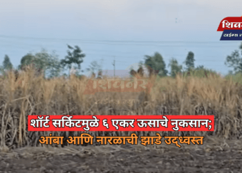 शॉर्ट सर्किटमुळे ६ एकर ऊसाचे नुकसान; आंबा आणि नारळाची झाडे उद्ध्वस्त