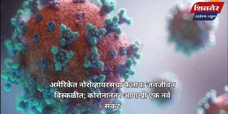अमेरिकेत नोरोव्हायरसचा फैलाव: जनजीवन विस्कळीत 1 अमेरिकेत नोरोव्हायरसचा फैलाव: जनजीवन विस्कळीत; कोरोनानंतर आणखी एक नवे संकट