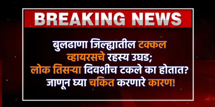 बुलढाणा जिल्ह्यातील टक्कल व्हायरसचे रहस्य उघड; लोक तिसऱ्या दिवशीच टकले का होतात? जाणून घ्या चकित करणारे कारण!