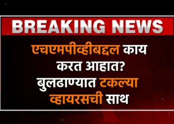 एचएमपीव्हीबद्दल काय करत आहात? बुलढाण्यात टकल्या व्हायरसची साथ