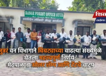 जुन्नर वन विभागाने बिबट्याच्या वाढत्या संख्येमुळे घेतला महत्त्वपूर्ण निर्णय: मेंढपाळाना सोलर लॅम्प आणि टेंटचे वाटप