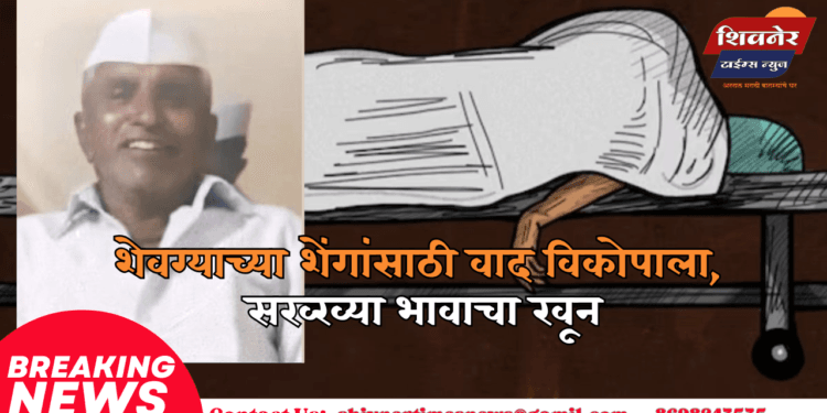 शेवग्याच्या शेंगांसाठी वाद विकोपाला, सख्ख्या भावाचा खून 1 शेवग्याच्या शेंगांसाठी वाद विकोपाला, सख्ख्या भावाचा खून