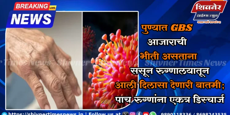 पुण्यात GBS आजाराची भीती असताना ससून रुग्णालयातून आली दिलासा देणारी बातमी; पाच रुग्णांना एकत्र डिस्चार्ज 1 पुण्यात GBS आजाराची भीती असताना ससून रुग्णालयातून आली दिलासा देणारी बातमी; पाच रुग्णांना एकत्र डिस्चार्ज