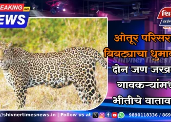 ओतूर परिसरात बिबट्याचा धुमाकूळ : दोन जण जखमी, गावकऱ्यांमध्ये भीतीचे वातावरण