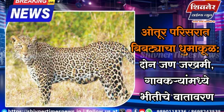 ओतूर परिसरात बिबट्याचा धुमाकूळ : दोन जण जखमी, गावकऱ्यांमध्ये भीतीचे वातावरण 1 ओतूर परिसरात बिबट्याचा धुमाकूळ : दोन जण जखमी, गावकऱ्यांमध्ये भीतीचे वातावरण