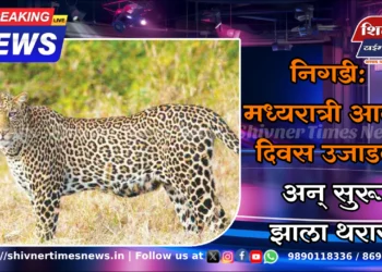 निगडी: मध्यरात्री आला! दिवस उजाडला अन् सुरू झाला थरार!