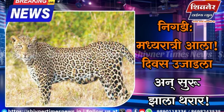 निगडी: मध्यरात्री आला! दिवस उजाडला अन् सुरू झाला थरार! 1 निगडी: मध्यरात्री आला! दिवस उजाडला अन् सुरू झाला थरार!