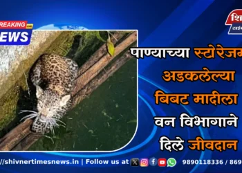 पाण्याच्या स्टोरेजमध्ये अडकलेल्या बिबट मादीला वन विभागाने दिले जीवदान 2 पाण्याच्या स्टोरेजमध्ये अडकलेल्या बिबट मादीला वन विभागाने दिले जीवदान