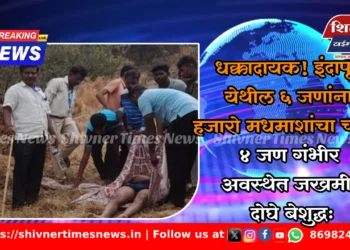 धक्कादायक! इंदापूर येथील ६ जणांना हजारो मधमाशांचा चावा, ४ जण गंभीर अवस्थेत जखमी, दोघे बेशुद्ध…