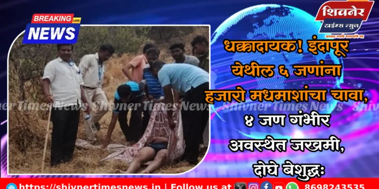 धक्कादायक! इंदापूर येथील ६ जणांना हजारो मधमाशांचा चावा, ४ जण गंभीर अवस्थेत जखमी, दोघे बेशुद्ध… 1 धक्कादायक! इंदापूर येथील ६ जणांना हजारो मधमाशांचा चावा, ४ जण गंभीर अवस्थेत जखमी, दोघे बेशुद्ध…