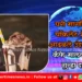 घरी मागविलेल्या चॉकलेट शेकमध्ये आढळले उंदराचे पिलू ; कॅफे मालकाविरुद्ध गुन्हा दाखल 2 घरी मागविलेल्या चॉकलेट शेकमध्ये आढळले उंदराचे पिलू ; कॅफे मालकाविरुद्ध गुन्हा दाखल