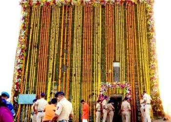 किल्ले शिवनेरीवर शिवभक्तांवर मधमाशांचा हल्ला; 10 ते 15 जण जखमी