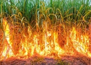 टाव्हरेवाडीत ३२ एकर ऊस जळाला; तत्पर शेतकऱ्यांनी १६ एकर ऊस वाचवला