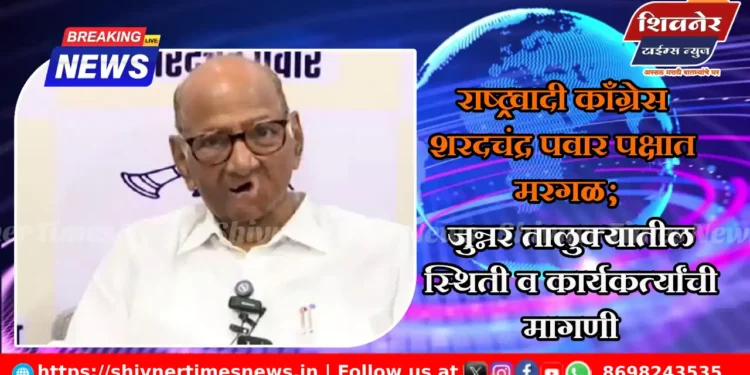 राष्ट्रवादी काँग्रेस शरदचंद्र पवार पक्षात मरगळ; जुन्नर तालुक्यातील स्थिती व कार्यकर्त्यांची मागणी 1 राष्ट्रवादी काँग्रेस शरदचंद्र पवार पक्षात मरगळ; जुन्नर तालुक्यातील स्थिती व कार्यकर्त्यांची मागणी