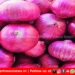 जुन्नर आणि ओतूर बाजार समितीत कांद्याची मोठी आवक – दरात मोठी घसरण! 2 जुन्नर आणि ओतूर बाजार समितीत कांद्याची मोठी आवक – दरात मोठी घसरण!