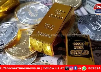 सोने खरेदी करताय? दुकानात जाण्यापूर्वी ‘या’ गोष्टी नक्की तपासा!