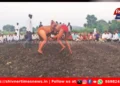 पुणे जिल्ह्यात कुस्तीचा थरार! वडगाव काशीबेगमध्ये मुलींच्या कुस्त्या ठरल्या आकर्षणाचे केंद्र