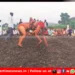 पुणे जिल्ह्यात कुस्तीचा थरार! वडगाव काशीबेगमध्ये मुलींच्या कुस्त्या ठरल्या आकर्षणाचे केंद्र 2 पुणे जिल्ह्यात कुस्तीचा थरार! वडगाव काशीबेगमध्ये मुलींच्या कुस्त्या ठरल्या आकर्षणाचे केंद्र