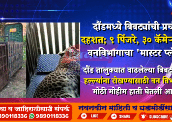 दौंडमध्ये बिबट्यांची प्रचंड दहशत; ९ पिंजरे, ३० कॅमेऱ्यांसह वनविभागाचा 'मास्टर प्लॅन'