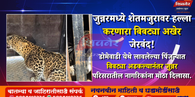 ЁЯРЖ рдЬреБрдиреНрдирд░рдордзреНрдпреЗ рд╢реЗрддрдордЬреБрд░рд╛рд╡рд░ рд╣рд▓реНрд▓рд╛ рдХрд░рдгрд╛рд░рд╛ рдмрд┐рдмрдЯреНрдпрд╛ рдЕрдЦреЗрд░ рдЬреЗрд░рдмрдВрдж! 1 рдЬреБрдиреНрдирд░рдордзреНрдпреЗ рд╢реЗрддрдордЬреБрд░рд╛рд╡рд░ рд╣рд▓реНрд▓рд╛ рдХрд░рдгрд╛рд░рд╛ рдмрд┐рдмрдЯреНрдпрд╛ рдЕрдЦреЗрд░ рдЬреЗрд░рдмрдВрдж!