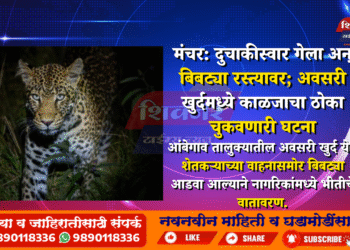 मंचर: दुचाकीस्वार गेला अन् बिबट्या रस्त्यावर; अवसरी खुर्दमध्ये काळजाचा ठोका चुकवणारी घटना