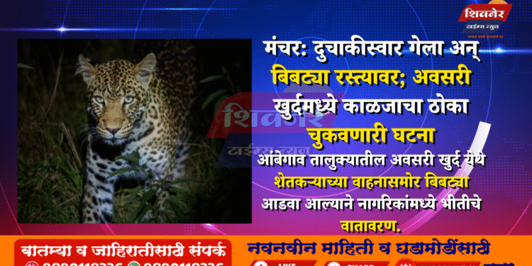 ЁЯРЖ рдордВрдЪрд░: рджреБрдЪрд╛рдХреАрд╕реНрд╡рд╛рд░ рдЧреЗрд▓рд╛ рдЕрдиреН рдмрд┐рдмрдЯреНрдпрд╛ рд░рд╕реНрддреНрдпрд╛рд╡рд░; рдЕрд╡рд╕рд░реА рдЦреБрд░реНрджрдордзреНрдпреЗ рдХрд╛рд│рдЬрд╛рдЪрд╛ рдареЛрдХрд╛ рдЪреБрдХрд╡рдгрд╛рд░реА рдШрдЯрдирд╛ 1 рдордВрдЪрд░: рджреБрдЪрд╛рдХреАрд╕реНрд╡рд╛рд░ рдЧреЗрд▓рд╛ рдЕрдиреН рдмрд┐рдмрдЯреНрдпрд╛ рд░рд╕реНрддреНрдпрд╛рд╡рд░; рдЕрд╡рд╕рд░реА рдЦреБрд░реНрджрдордзреНрдпреЗ рдХрд╛рд│рдЬрд╛рдЪрд╛ рдареЛрдХрд╛ рдЪреБрдХрд╡рдгрд╛рд░реА рдШрдЯрдирд╛