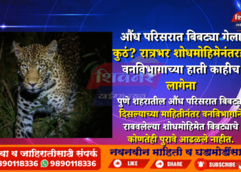 औंध परिसरात बिबट्या गेला कुठं? रात्रभर शोधमोहिमेनंतरही वनविभागाच्या हाती काहीच लागेना