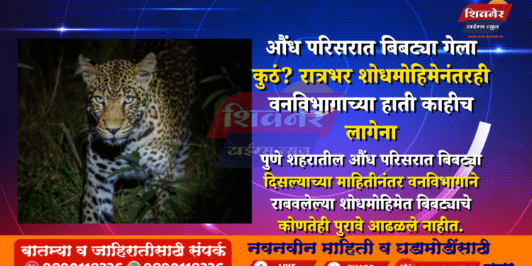 ЁЯР╛ рдФрдВрдз рдкрд░рд┐рд╕рд░рд╛рдд рдмрд┐рдмрдЯреНрдпрд╛ рдЧреЗрд▓рд╛ рдХреБрдардВ? рд░рд╛рддреНрд░рднрд░ рд╢реЛрдзрдореЛрд╣рд┐рдореЗрдирдВрддрд░рд╣реА рд╡рдирд╡рд┐рднрд╛рдЧрд╛рдЪреНрдпрд╛ рд╣рд╛рддреА рдХрд╛рд╣реАрдЪ рд▓рд╛рдЧреЗрдирд╛ 1 рдФрдВрдз рдкрд░рд┐рд╕рд░рд╛рдд рдмрд┐рдмрдЯреНрдпрд╛ рдЧреЗрд▓рд╛ рдХреБрдардВ? рд░рд╛рддреНрд░рднрд░ рд╢реЛрдзрдореЛрд╣рд┐рдореЗрдирдВрддрд░рд╣реА рд╡рдирд╡рд┐рднрд╛рдЧрд╛рдЪреНрдпрд╛ рд╣рд╛рддреА рдХрд╛рд╣реАрдЪ рд▓рд╛рдЧреЗрдирд╛